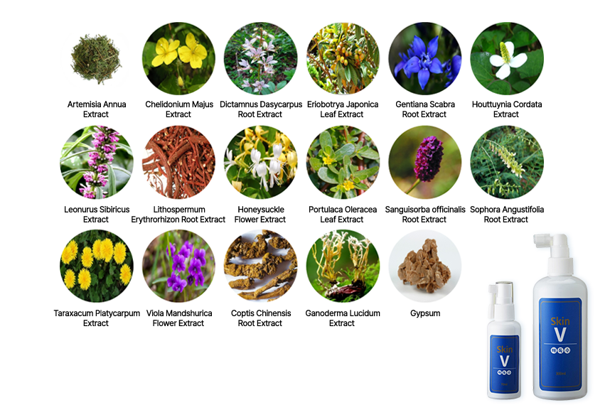 Full Ingredients of SKIN-V
