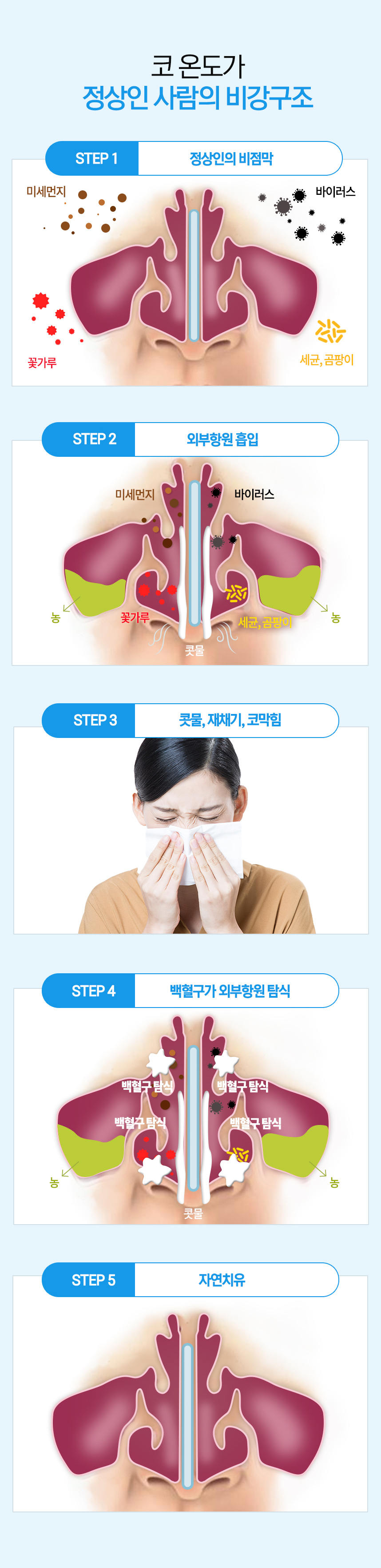 코 온도가 정상인 사람의 비강구조 1. 정상인 / 비염환자의 비점막 2. 외부항원 흡입 (미세먼지, 바이러스, 꽃가루, 세균, 곰팡이) 3. 콧물, 재채기, 코막힘 4. 백혈구가 외부항원 탐식 5. 자연치유