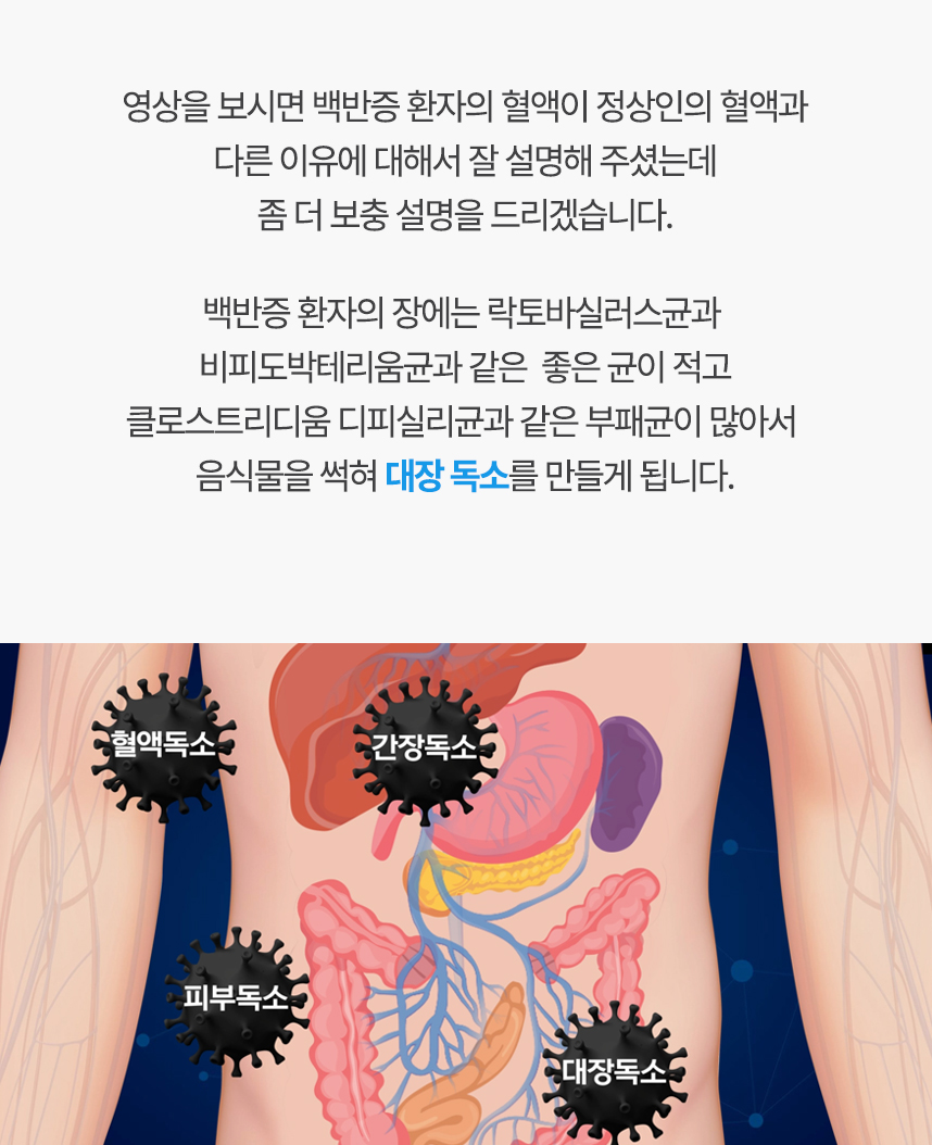 영상의 보충설명을 해드리겠습니다. 백반증 환자의 장에는 좋은 균이 적고 부패균이 많아서 음식물을 썩혀 대장 독소를 만들게 됩니다.