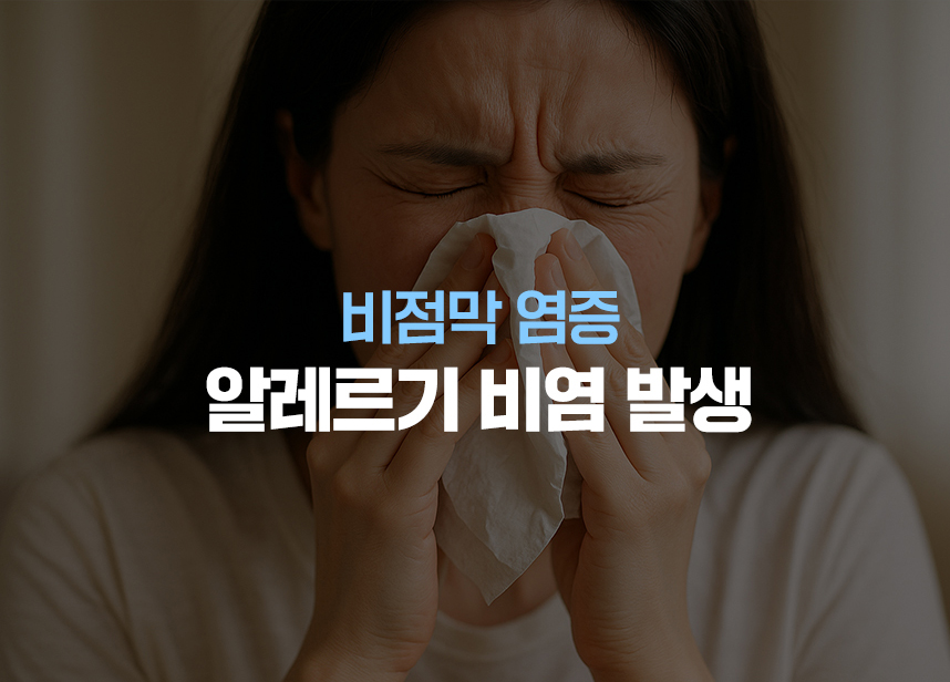 비점막 염증 알레르기 비염 발생