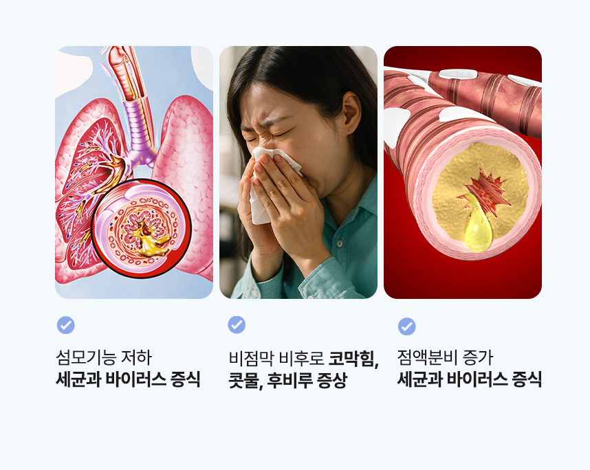 섬모기능 저하 세균과 바이러스 증식. 비점막 비후로 코막힘, 콧물, 후비루 증상. 점액분비 증가 세균과 바이러스 증식