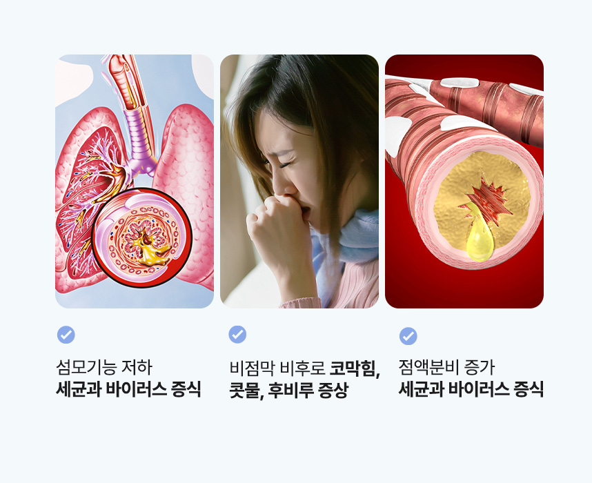 섬모기능 저하 세균과 바이러스 증식. 비점막 비후로 코막힘, 콧물, 후비루 증상. 점액분비 증가 세균과 바이러스 증식