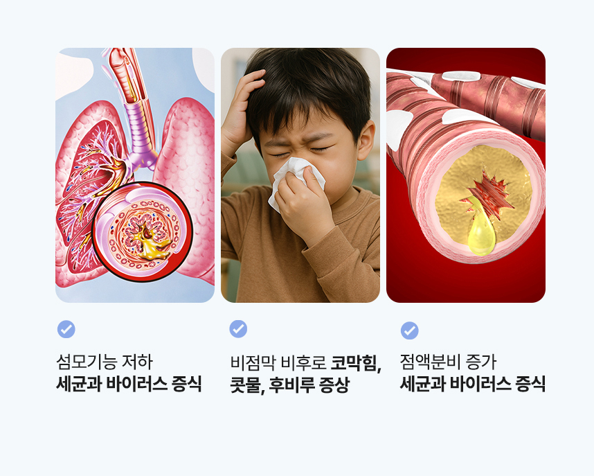 섬모기능 저하 세균과 바이러스 증식. 비점막 비후로 코막힘, 콧물, 후비루 증상. 점액분비 증가 세균과 바이러스 증식
