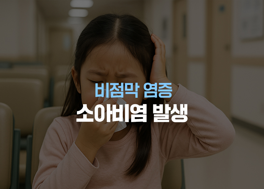 비점막 염증 비염 발생