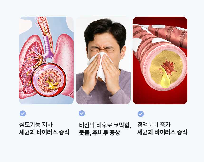섬모기능 저하 세균과 바이러스 증식. 비점막 비후로 코막힘, 콧물, 후비루 증상. 점액분비 증가 세균과 바이러스 증식
