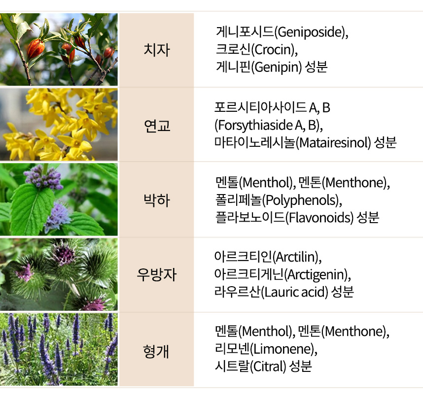 청열해독산의 주성분