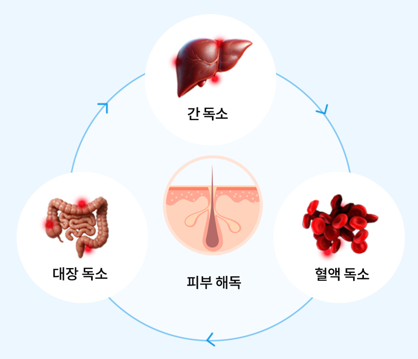 4중 해독 치료