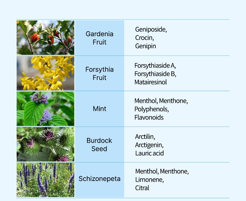 청열해독산의 주성분