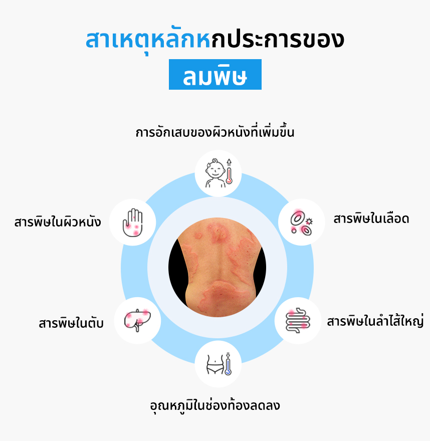 สาเหตุหลักหกประการของลมพิษ: 
