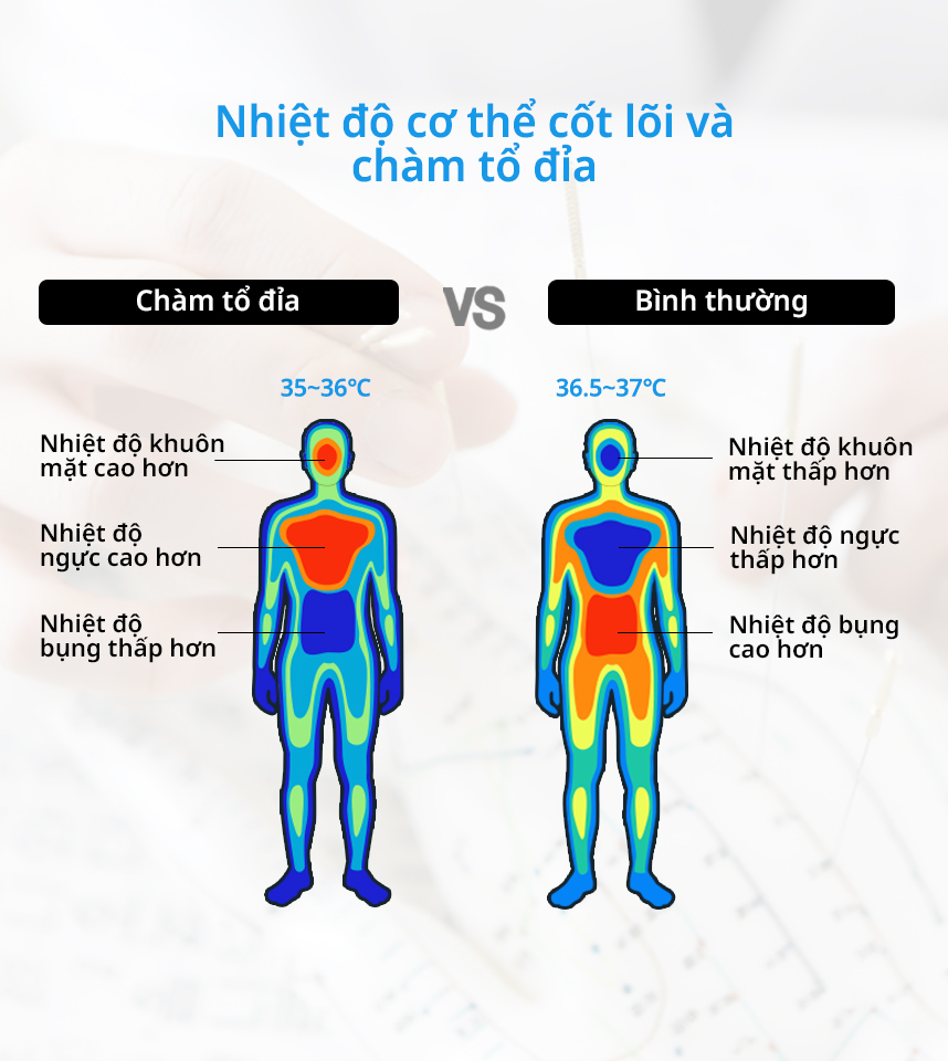 Nhiệt độ cơ thể cốt lõi và Chàm tổ đỉa
